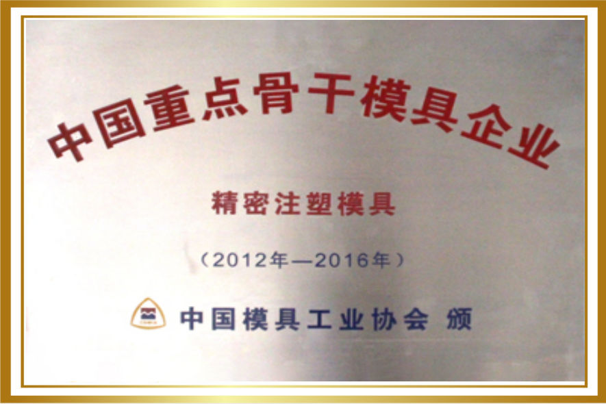 中國重點(diǎn)骨干模具單位